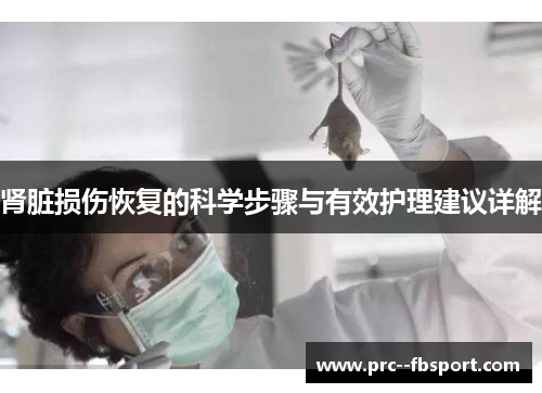 肾脏损伤恢复的科学步骤与有效护理建议详解