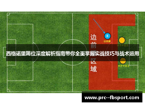 西格诺里踢位深度解析指南带你全面掌握实战技巧与战术运用