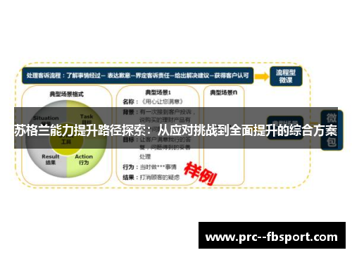 苏格兰能力提升路径探索：从应对挑战到全面提升的综合方案